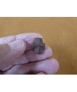 (CR591-8) mini 1/2&quot; Fairy Stone CHRISTIAN CROSS oiled Staurolite Crystal... - $12.99