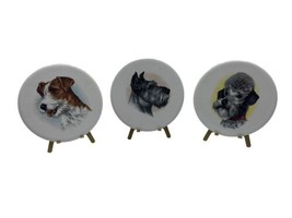 Vintage Dog Porcelain Round Art Lot Terrier Poodle Schnauzer Germany Bav... - £12.76 GBP