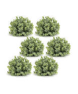Spring Boxwood Foliage Half Orb (Set of 6) - 548134 - $2,315.62 MXN