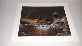 WATCHFUL GAZES GICLEE  PRINT BY DENNIS SCHMIDT - $89.99