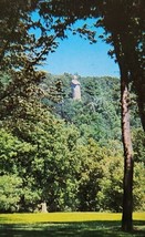 Chief Blackhawk Monument Eagles Nest Bluff River Rock Oregon IL Postcard - $5.95