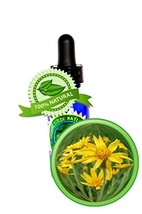Arnica Oil Extract (Arnica Montana) -16 oz/480ml-Pure and Potent-Anti-in... - $88.19