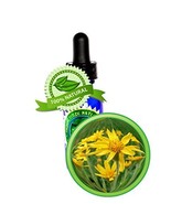 Arnica Oil Extract (Arnica Montana) -16 oz/480ml-Pure and Potent-Anti-in... - $88.19