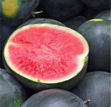 Fresh Garden 20 Black Diamond Watermelon Seeds Average Fruit WT 30-50lbs  - $9.89