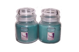Yankee Candle Catching Rays Medium Jar Scented Candle 14.5 oz - Lot of 2 - £31.89 GBP