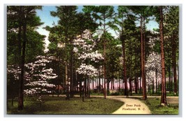 Deer Park Pinehurst NC UNP Hand Colored Albertype Postcard W17 - £6.16 GBP
