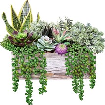 Artificial Potted Succulents Plants Arrangement For Table Centerpiece Windowsill - $42.11