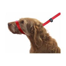 Dogs &amp; Co Figure of 8 Dog Lead, Red  - £33.25 GBP