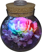 Preserved Real Roses with Colorful Mood Light Wishing Bottle - $56.16