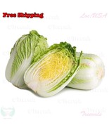 MBK 6 Tibetan Cherry Tree Seeds Fast Ship - $12.98