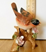  Small Robin Porcelain Figurine Ex Condition 4.25&quot; Tall - £6.95 GBP