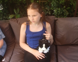 Border Collie shaped shoulder or hand bag fitted with a tartan coat - $40.00