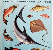 1955 Fish Guide to American Species Golden Pocket Book 1st Edition Weste... - $29.99