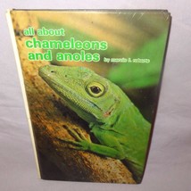 All About Chameleons and Anoles Hardcover Book Mervin F Roberts Lizards Reptile - $9.99