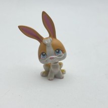 Littlest Pet Shop LPS #75 Bunny Rabbit Orange White Blue Dot Eyes Preowned - $5.51