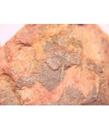 CHERALITE - Ex. Chet Lemanski - Uranium King Mine, Encampment, WYOMING - $5,255.88 MXN