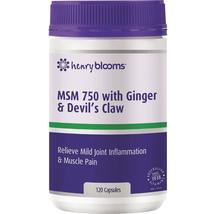 Henry Blooms MSM 750 with Ginger 1000mg &amp; Devils Claw 120 Vegetarian Capsules - £71.07 GBP