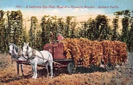 Hop Farming Horse Wagon California 1910c postcard - £5.07 GBP