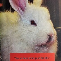 Disapproving Rabbits Sharon Stiteler 2007 Cute Animal Humor Pictures Gift Book image 7