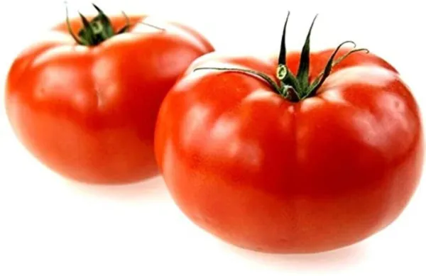 50+ Seeds Marglobe Tomato Vegetable Planting Tomatoes Usa Garden - £5.85 GBP