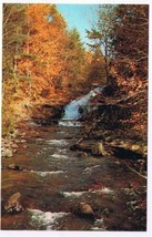 Ontario Postcard Heathcote Stream in Autumn Woods - £2.31 GBP