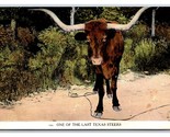 One of the Last Texas Longhorn Steers TX UNP Unused DB Postcard M17 - $2.92