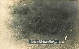 Texas Deadly Diamond Back Rattlesnake Tex Mex Border  Postcard 21-7453 - $4.94