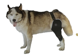 Dog Knee Brace For Torn Acl Right Hind Knee Brace For Dogs Acl Size Large New - £28.84 GBP