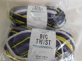 Big Twist Living Authentic lot of 2 Dye Lot 191975 - £12.37 GBP