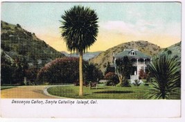 California Postcard Decanso Canon Santa Catalina Island Newman Germany - £3.49 GBP