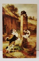 Baffled by Walter Hunt English Art Cats and Dogs Postcard C12 - £5.42 GBP