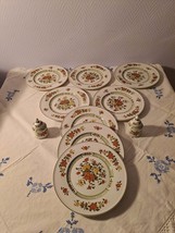 Villeroy &amp; Boch &quot;Summerday&quot; 8 plates and 2 sprinklers - $160.00