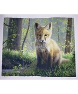 Pat McManus Red Fox Art Print First Spring Numbered Signed Limited Edition - £83.67 GBP