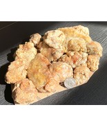 1 lb 2 oz. PONDEROSA PINE Resin Pitch Tree Sap Raw Antiseptic Salve Fire... - $461.44 MXN