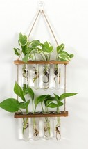 Wall Hanging Terrarium Flower Glass Planter Propagator for Plant Garden - £17.07 GBP+