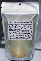 125+ Live Daphnia Magna Freshwater Fleas Tank Raise Cultures live Fish food  - £20.71 GBP