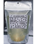 125+ Live Daphnia Magna Freshwater Fleas Tank Raise Cultures live Fish f... - £20.43 GBP