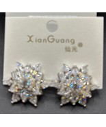 Fishion Design Cubic Zirconia Polished Silver Earrings - €10,31 EUR