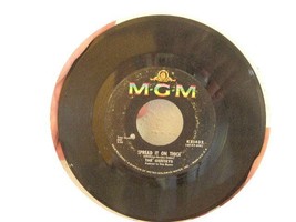 Gentrys 45 Record The Cinnamon Girl Neil Young Sun Reco - $22.40