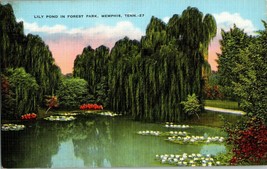 Postcard Lily Pond Forest Park Memphis TN Linen Unposted Willow Tree - £7.46 GBP