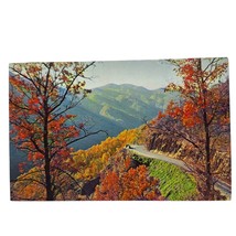 Postcard Autumn Scene On Newfound Gap Highway Great Smoky Mountains Chrome - $6.92