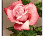 Pink Rose Flower Blossom UNP Unused DB Postcard H29 - $1.93