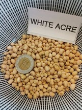 White Acre Cowpea - Black-eyed-pea - 10+ seeds - Heirloom Seeds! H 092 - $85.27 MXN