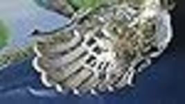 Item image 15