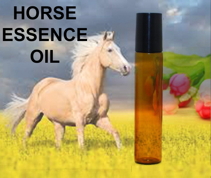 Haunted 27x ESSENCE HORSE FREEDOM BRIDGING GAPS INDEPENDENCE OIL MAGICK CASSIA4 - £18.38 GBP