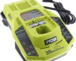 Lithium Ion And Nicad Intelliport Battery Charger, 18 Volts, Ryobi P117 One - £48.81 GBP