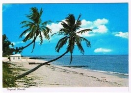 Florida Postcard Whispering Palms Florida Coast - £1.67 GBP