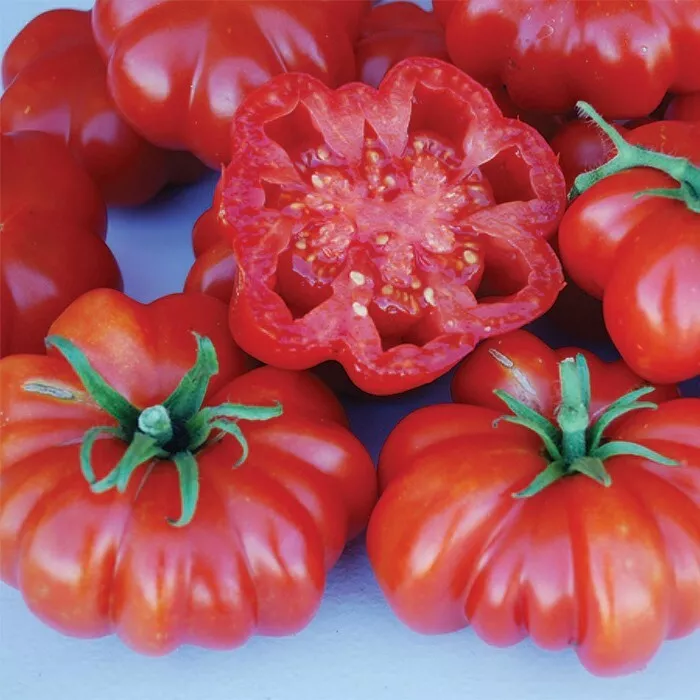 USA SELLER 50 Seeds Rosso Sicilian Tomato Vegetable Garden Edible Canning Fast S - $15.25