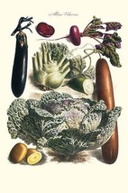 Vegetables; Cucumber, cabbage, eggplant, potato, and beet by Philippe-Victoire L - £17.37 GBP+