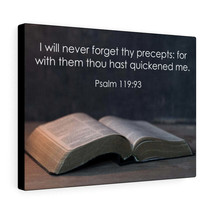  Never Forget Thy Precepts Psalm 119:93 Bible Verse Canvas Chris - £68.54 GBP+